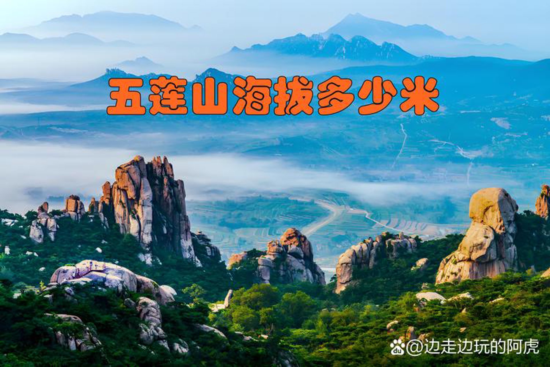 五莲生态林业